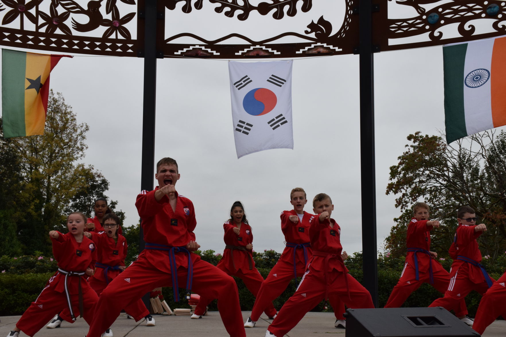 Taekwondo